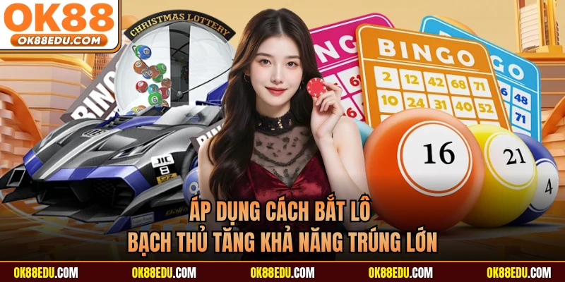 Áp dụng cách bắt lô bạch thủ tăng khả năng trúng lớn