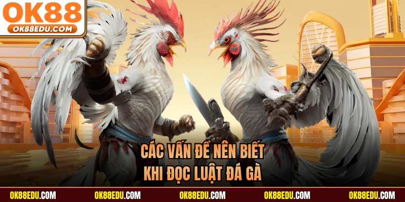 Các vấn đề nên biết khi đọc luật đá gà