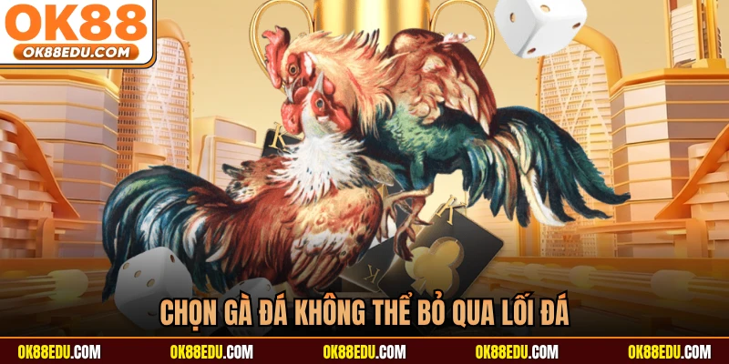 Chọn gà đá không thể bỏ qua lối đá