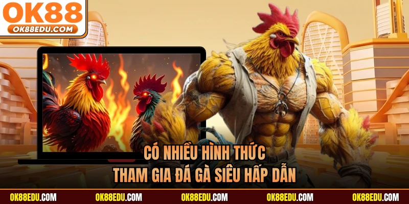 Có nhiều hình thức tham gia đá gà siêu hấp dẫn