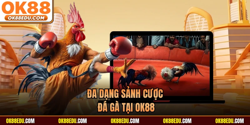 Đa dạng sảnh cược đá gà tại OK88