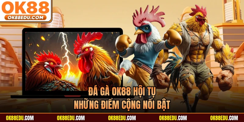 Đá gà OK88 hội tụ những điểm cộng nổi bật