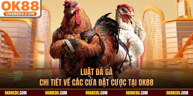Luật Đá Gà - Chi Tiết Về Các Cửa Đặt Cược Tại OK88