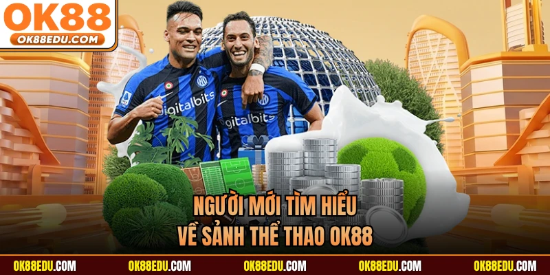 Người mới tìm hiểu về sảnh thể thao OK88