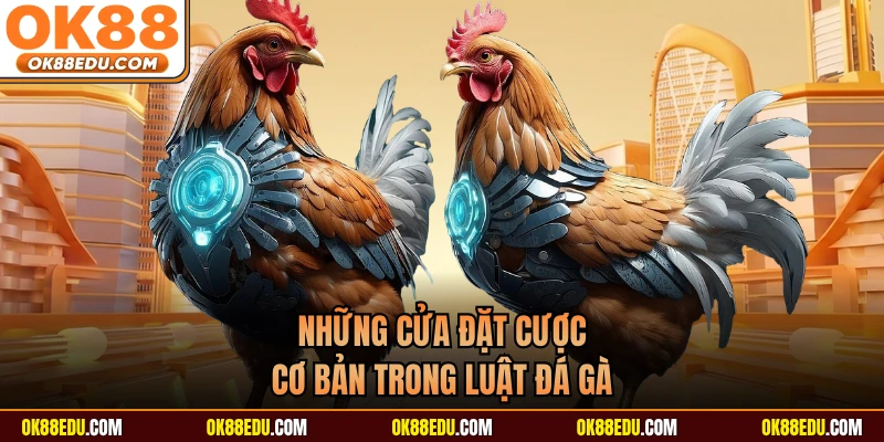 Những cửa đặt cược cơ bản trong luật đá gà